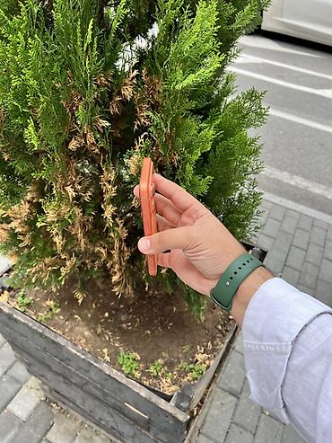 iphone 5d: IPhone 17 Pro, 256 GB, Narıncı, Face ID, Simsiz şarj, Sənədlərlə — 10