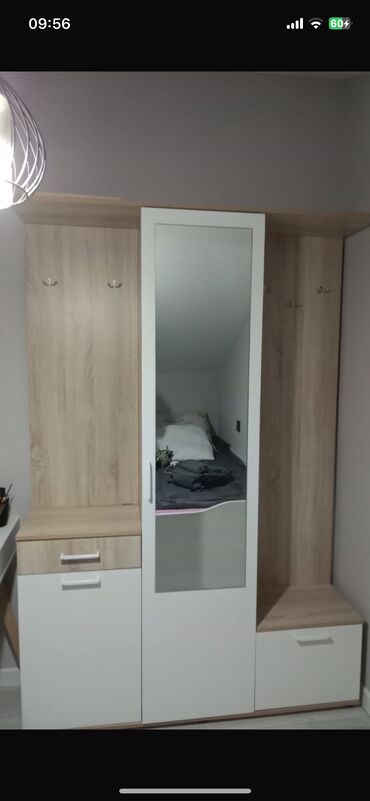 qapi aliram: İşlənmiş, Açılan, 1 qapı Düz dolab, Dəhliz dolabı