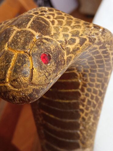 hiruski celik narukvice: Haşa kobra 80 yaşı var əl işidi gözləri rubildi möhkəm ağacdan