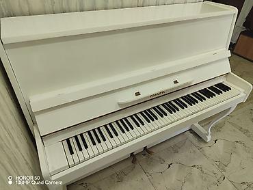 gitara akustik: Akkord upright piano – klassik ağ rəngdə, laklı örtük. - Korpus — 1