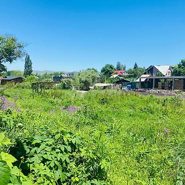 участок камин: 11 соток, Для строительства, Договор купли-продажи, Красная книга, Тех паспорт — 5