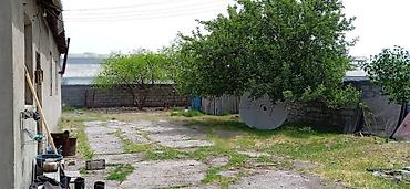 мтф: 36 соток, Для строительства, Красная книга, Тех паспорт — 5