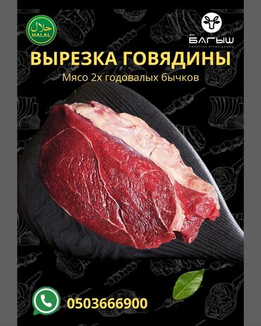 Мясо: Баранина : До 1 кг, 1 кг, 2 кг, Самовывоз, Бесплатная доставка, Платная доставка — 13