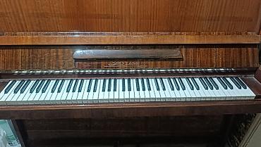 belarus 892: Açar sözlər: akustik piano, upright, Belorussiya “Desna” (Десна) — 2