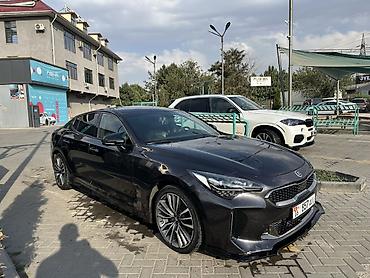 work kiwami: Kia Stinger: 2017 г., 2 л, Автомат, Бензин, Фастбек — 2