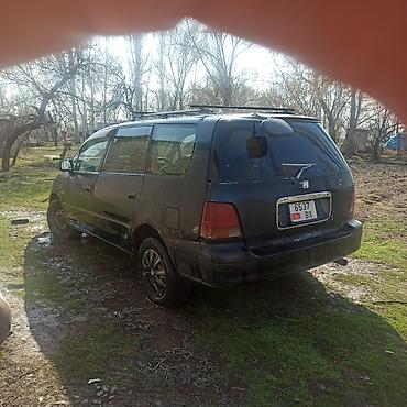 transporter multivan: Honda Odyssey: 1994 г., 2.2 л, Автомат, Бензин, Минивэн — 1