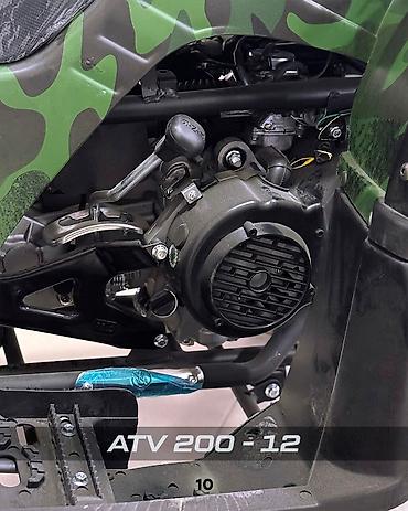 Квадроциклы: Квадроцикл Бензин, 200 куб. см, Взрослый — 12