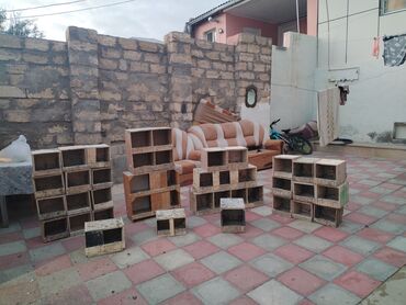 dovşan yuvaları: Taxta göyərçin yuvaları və bölməli qəfəslər dəsti - Material: qalın