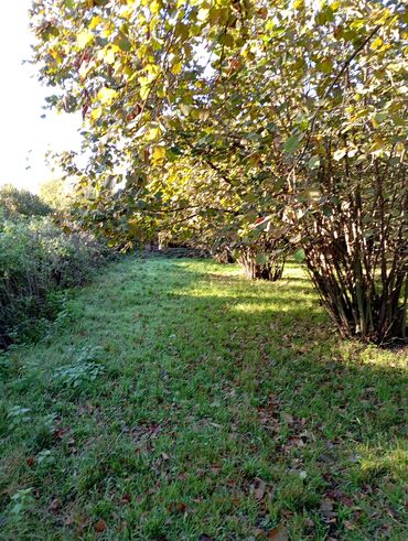 Torpaq sahələrinin satışı: Tikinti — 8