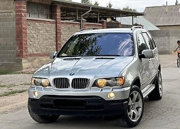BMW: BMW X5: 2002 г., 3 л, Автомат, Дизель, Кроссовер — 3