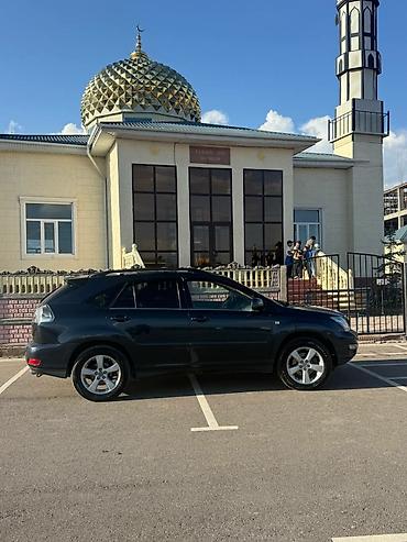 10 лет в одних руках: Lexus RX: 2003 г., 3.3 л, Автомат, Газ, Кроссовер — 7