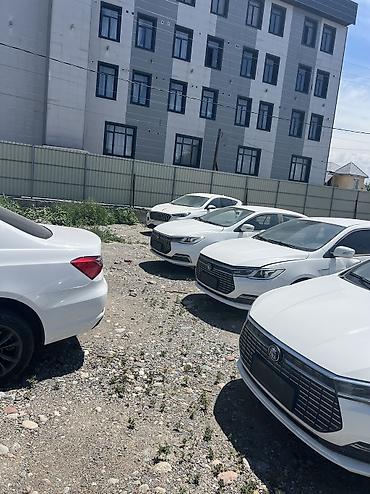 range over: BYD Qin: 2023 г., Робот, Седан — 1
