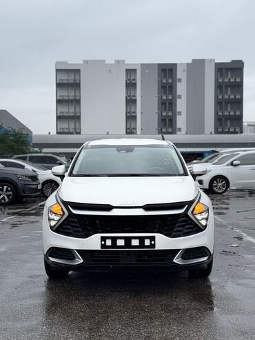 кофр на крышу автомобиля: Kia Sportage: 2021 г., 1.6 л, Бензин, Кроссовер