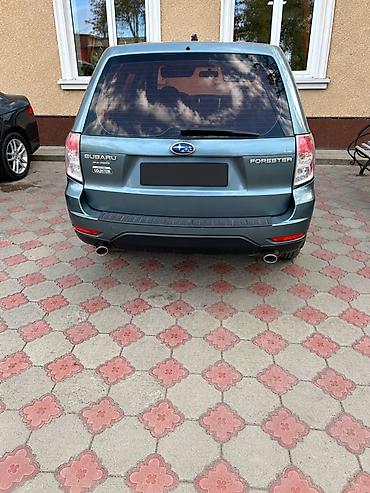 subaru outback 2007: Subaru Forester: 2008 г., 2.5 л, Автомат, Бензин, Кроссовер — 1