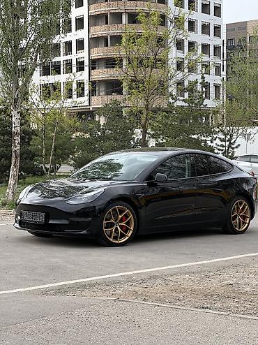 byd e6: Tesla Model Y: 2023 г., 5.5 л, Автомат, Электромобиль, Седан — 1