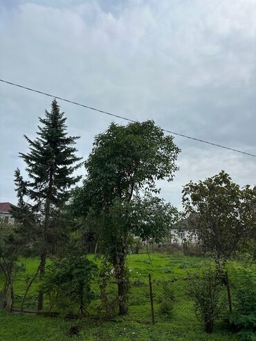 Torpaq sahələrinin satışı: 5 sot, Tikinti — 6