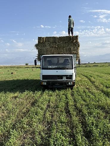 1kr fe: Mercedes-Benz : 1994 г., 6 л, Механика, Дизель — 2