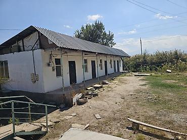 котедж слив пантера: Здание, Действующий 100 м² — 3