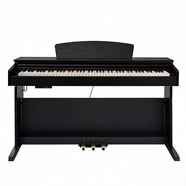 karaoke qiymetleri: Elektro piano "ROCKDALE Etude 128 Graded Black Rockdale"Rockdale — 9