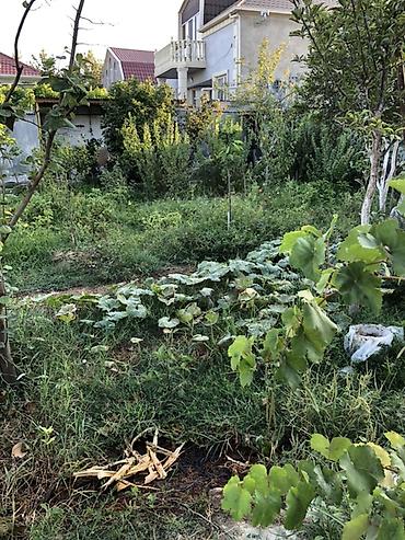turizm şirkəti satılır: Kirayə verilir: yeni Ramana . Kamunal daxil. Tək qadın 200 man. Ailə — 9