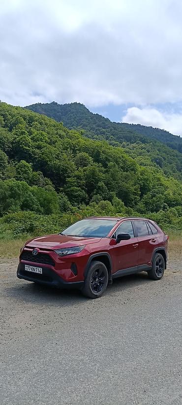 turbo az lexus rx 330: Toyota RAV4: 2.5 l | 2022 il Krossover — 1