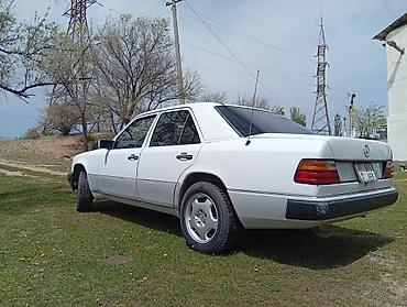 bmw 2015 x5: Mercedes-Benz W124: 1992 г., 2.3 л, Механика, Бензин, Седан — 5