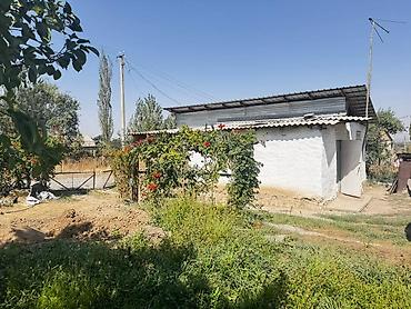 слив коттедж пантера: Дача 6 соток в Кунтуу Радуга срочная цена Правильная форма 20*30 — 1