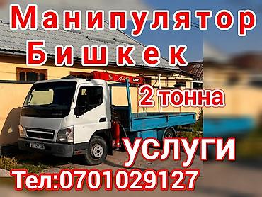 Манипулятор, Mitsubishi