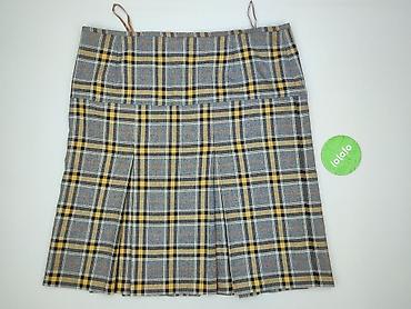Skirts: Women`s skirt, size 6XL at lalafo.pl — 2 Skirts: Women`s skirt, size 6XL — 2