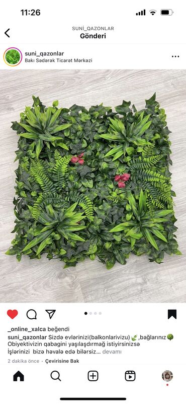 Linoleum: Qi̇ymətlər 10 azn başlayir depodan bir başa satiş suni̇ qazonlar — 31