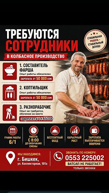 Өндүрүш: Талап кылынат Өндүрүшкө кара жумушчу, Төлөм: Ай сайын, Тажрыйбасыз — 1