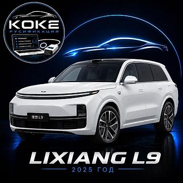 e 303: Русификация Li Xiang L9 (2025) Профессиональная русификация — 1