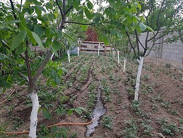 Продажа домов: Дом, 52 м², 5 комнат, Собственник, Старый ремонт — 6