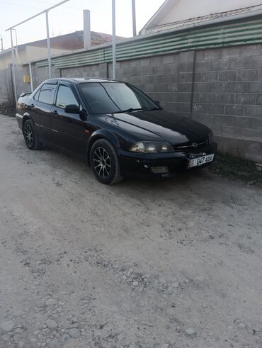 honda ашербы: Honda Accord: 2000 г., 1.8 л, Автомат, Бензин, Седан