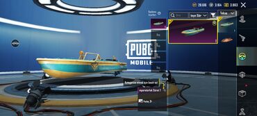 Digər: PUBG Mobile hesabı – zəngin kosmetik kolleksiya - X-Suit — 26