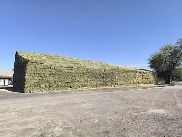 Корма для с/х животных: Сено люцерны в тюках - 3-й укос: мягкое и питательное - Сухое и — 7