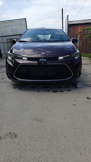 Toyota: Toyota Corolla: 2019 г., 1.8 л, Автомат, Гибрид, Седан