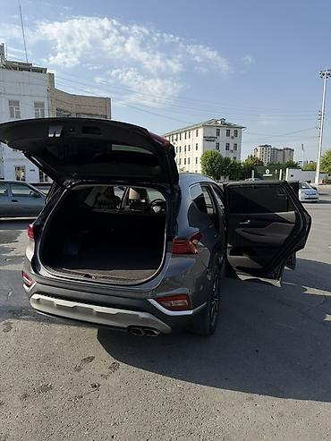 sonata d8: Hyundai Santa Fe: 2019 г., 2 л, Автомат, Дизель, Кроссовер — 10