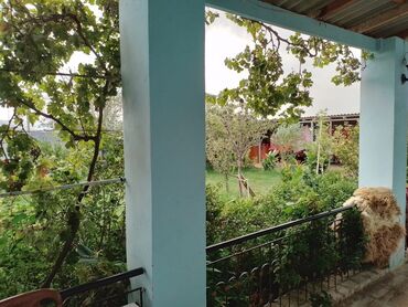 Həyət evləri və villaların satışı: Həyət evləri və villaların satışı — 21