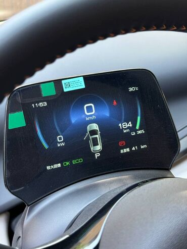 BYD: BYD : 2024 г., Электромобиль — 12