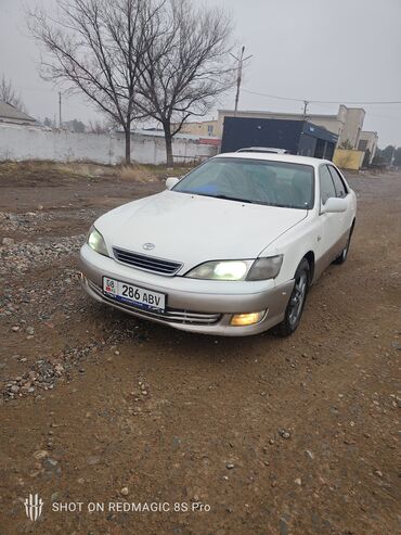 lend kruzer 200: Toyota : 2001 г., 2.5 л, Автомат, Газ, Седан