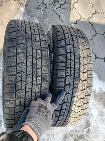 Шины: Шины 185 / 65 / R 15, Б/у, Пара, Легковые, Япония, Dunlop