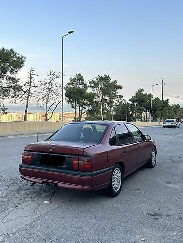 Opel: Opel Vectra: 2 l | 1994 il 500000 km Sedan — 3