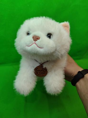 Игрушки: Кошка и панда мягкие игрушки оригинал в ассортименте🔥 Комплектация — 8