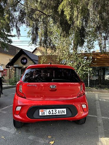 byd d1: Kia Morning: 2019 г., 1 л, Автомат, Бензин — 3