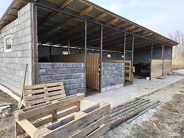 Продажа коттеджей и домов: Продается теплый и уютный дом с хозяйственными постройками. При — 9