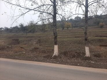 Torpaq sahələrinin satışı: 24 sot, Mülkiyyətçi, Kupça (Çıxarış) -da lalafo.az — 2 Torpaq sahələrinin satışı: 24 sot, Mülkiyyətçi, Kupça (Çıxarış) — 2