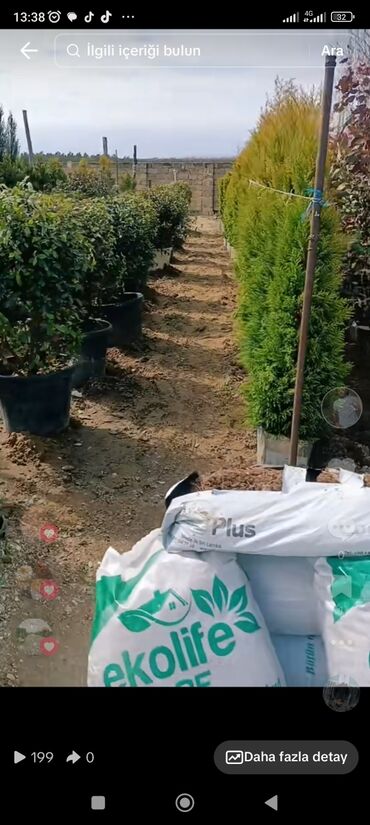 Toxumlar: Qazon catrlma qurasdrma 
tordf
kakavide var topdan sats qiymete — 12