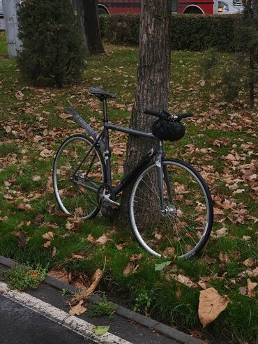 прямоток мото: Шаардык велосипед, Велосипед алкагы M (156 - 178 см), Колдонулган