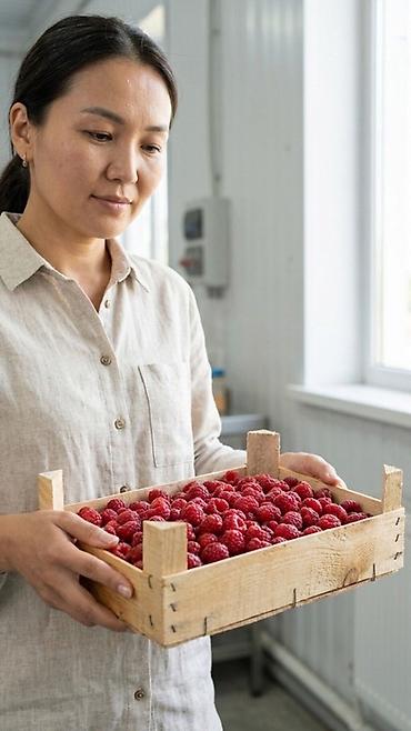 Ящики: Деревянный Ящик, Новый — 13